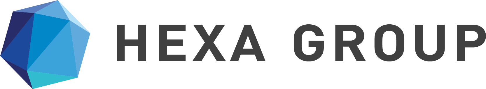 Hexa Group Logo